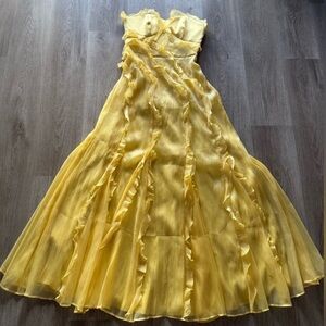 NWT! Hutch Yara Strapless Dress
